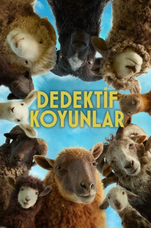 Dedektif Koyunlar izle
